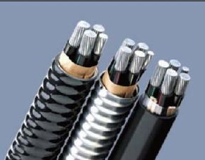 西安铠装铝合金电缆 YJLHV22铝合金电力电缆 陕西远洋电线电缆厂西安电线 ...
